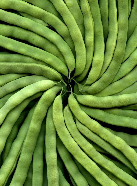 Sol pour haricot vert