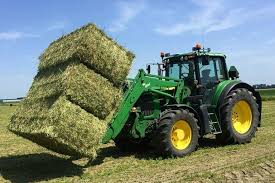 Alfalfa field